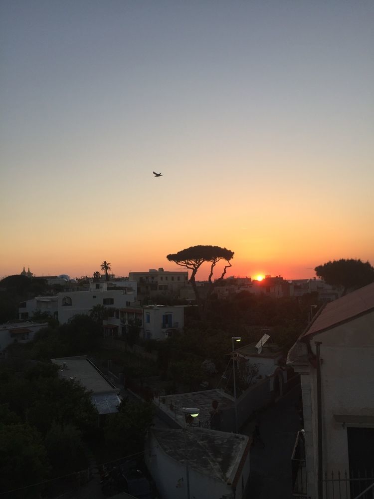 Ring Hostel Forio di Ischia Exterior foto